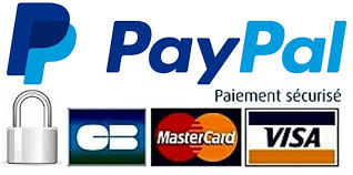 Logo paypal3
